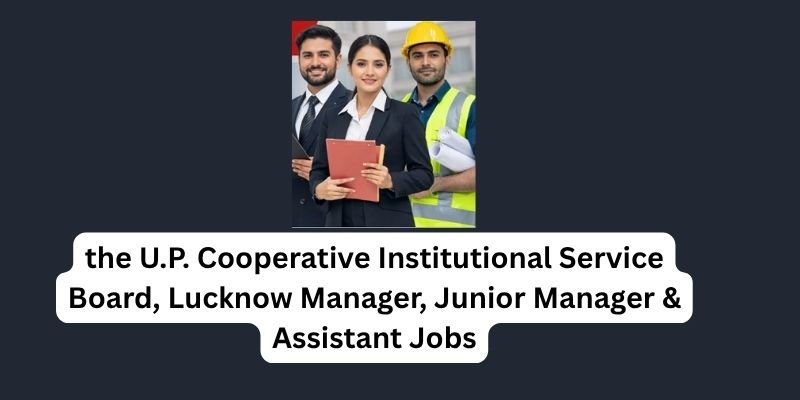UP Co-operative 116 Manager, Junior Manager, Assistant